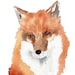 Yes Foxy - Watercolor clip art avatar