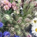 SerenityFlowerFarm