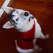 Buyer Avatar