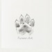 FureverPetDesign