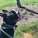 Laila