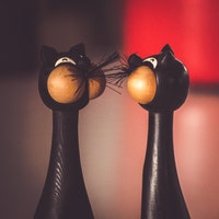 TheTwoWoodenCats