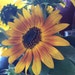 FarmhouseQuiltingCo