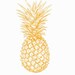 Pineapple Designs