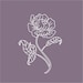 PeonyPapery
