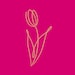 TulipBoutiqueUSA