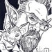 Buyer Avatar