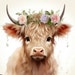 Buyer Avatar