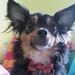 Buyer Avatar