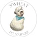 Buyer Avatar