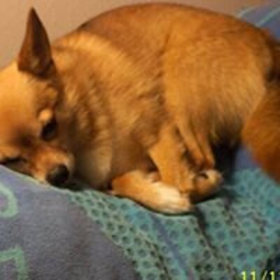 Linda's profile picture