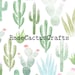 Buyer Avatar