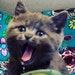 Buyer Avatar