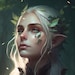 ElvenEclectic