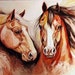 Buyer Avatar