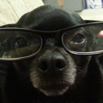 Lisa's profile picture