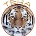 TERA International