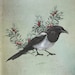MagpieandYew