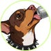 Pupcore Goods