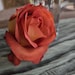 Buyer Avatar
