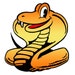 CobraGraphics avatar