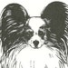 Kooper avatar