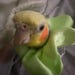 Buyer Avatar
