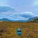 TREASURESbyVC