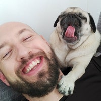LilPugPrints