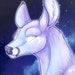 GalaxyDoeDesigns