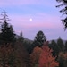 WildWhimsyArt