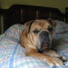 Buyer Avatar