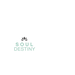 Soul Destiny
