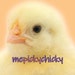 Niki, The Picky Chicky avatar