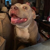 SweetMollyJaynes