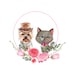 KittensAndTeacups