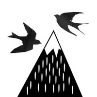 2birdstudios
