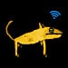YellowDogMusic