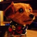Johan Redd