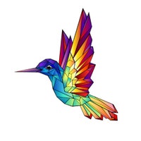 RainbowHummingbirdCo