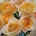 OranssiTreasures