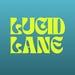 LucidLaneCo