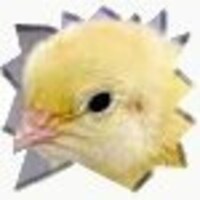 Chickypez