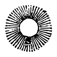 MerchantsOfTheSun