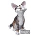 Buyer Avatar