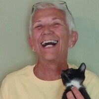 LittleOldLadysAttic