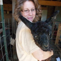 BreezyRidgeAlpacas