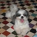 User photo