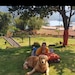 TheGoldenLeafIndia