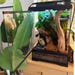 BioactiveHabitats